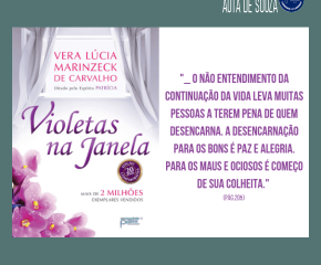 Violetas na janela